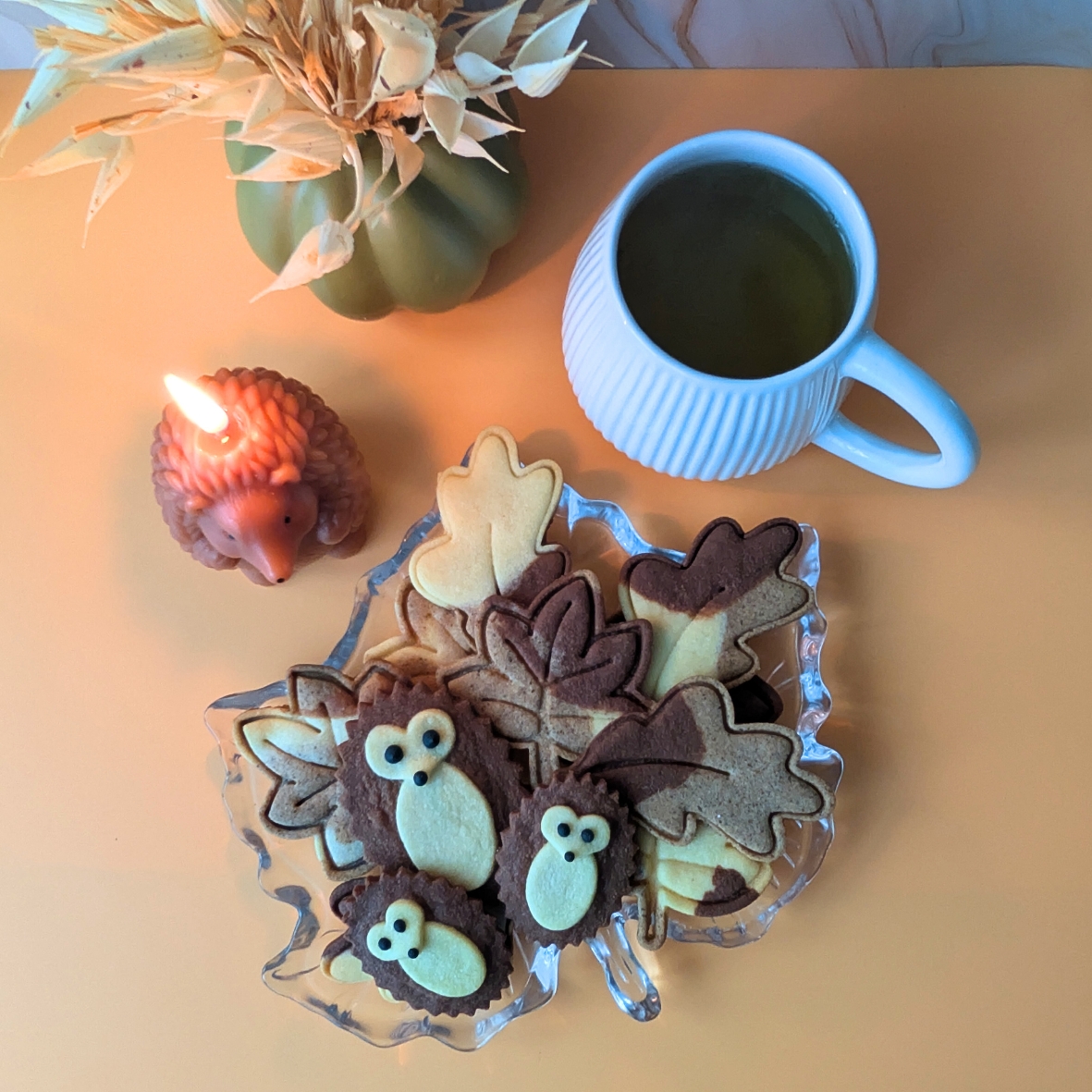 Návrh bez názvu (6)